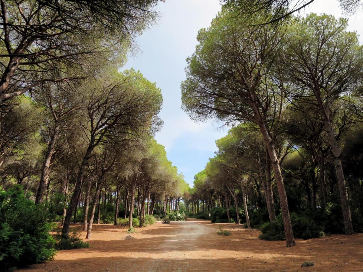 Holiday Home La Tordara By Interhome ポルト・サント・ステーファノ エクステリア 写真